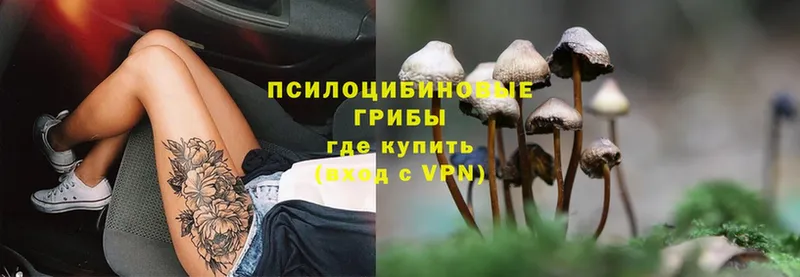 Галлюциногенные грибы MAGIC MUSHROOMS  ссылка на мегу вход  Карачаевск 